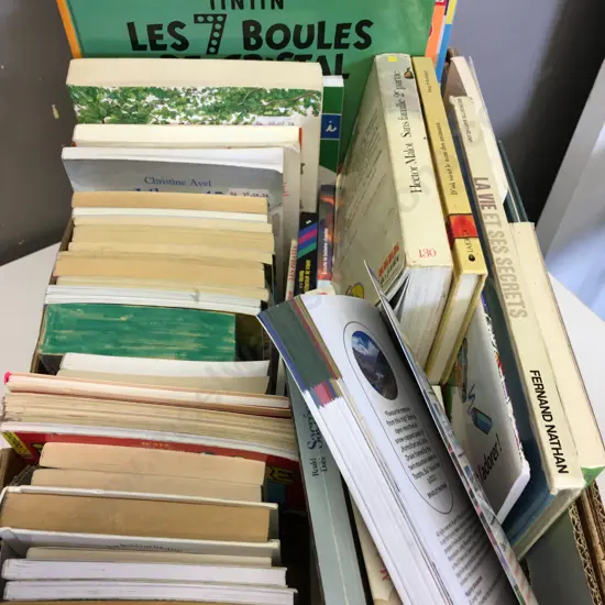 Box lot French Language Books - Tintin, Lucky Luke Etc