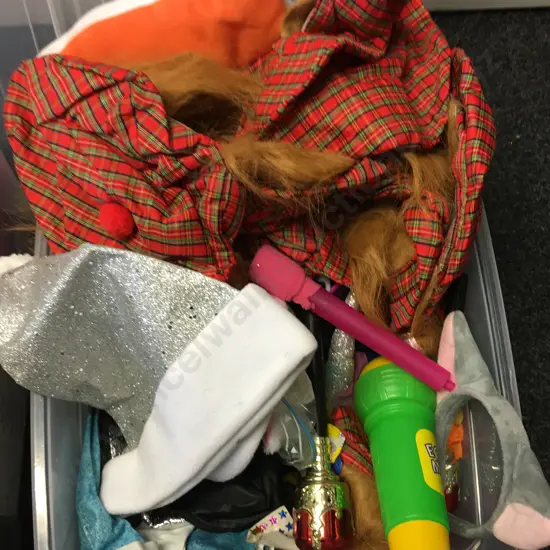 Clear Bin Of Dress Ups Including Hats, Toys Etc (Not Saleable - Dumped)