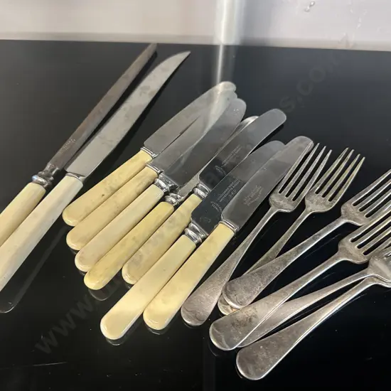 Bone Handled Knives, Forks With Sharpening Steel