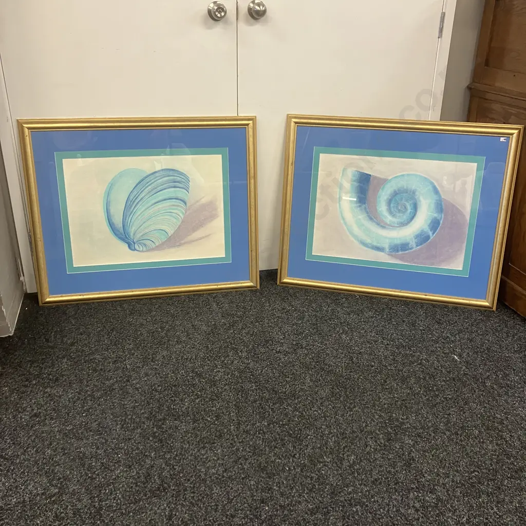 Pair of Gilt Framed Artworks 'Nautilus Shell' & 'Sea Shell' H71,W86.5cm. Image 1++