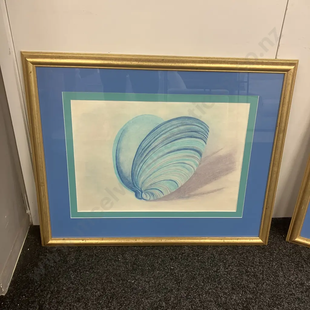 Pair of Gilt Framed Artworks 'Nautilus Shell' & 'Sea Shell' H71,W86.5cm. Image 1++