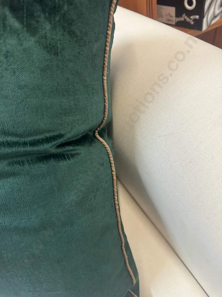 Designer Marcello & Co Feather Cushion Green With Gold Trim Image 1++
