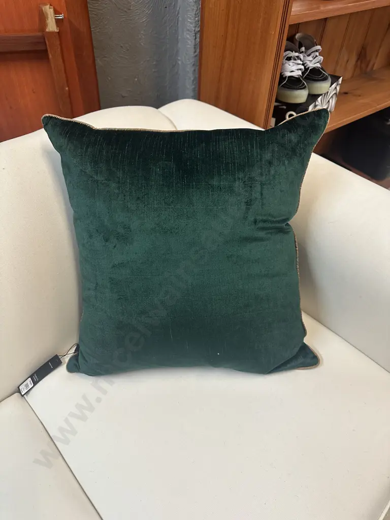 Designer Marcello & Co Feather Cushion Green With Gold Trim Image 1++