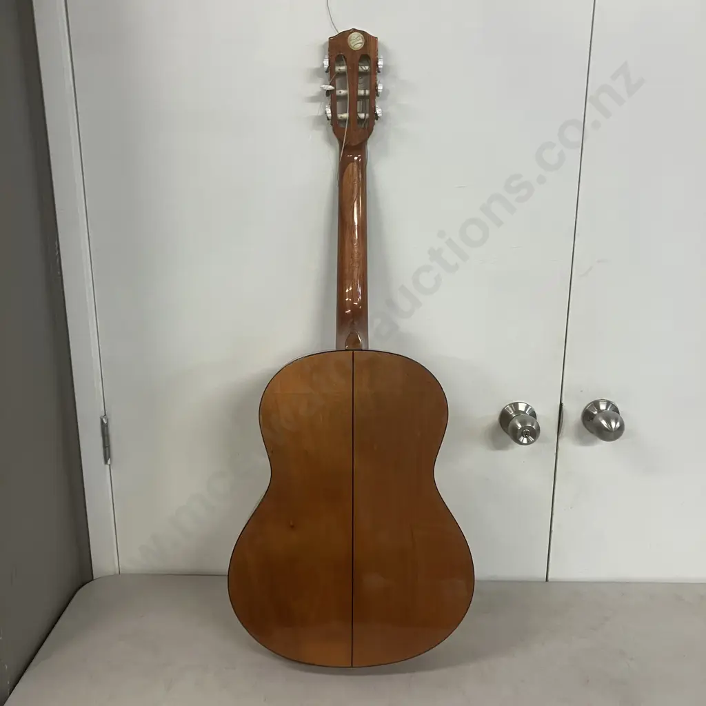 Fender ECS 105 Classical Acoustic Guitar #OI09071098 Image 1++