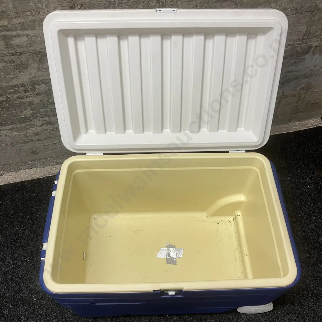Large PolarCooler Chilly Bin (As Found Condition) Image 1++