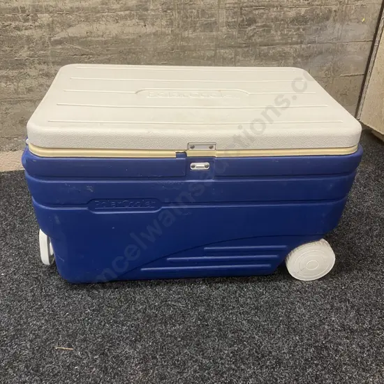 Large PolarCooler Chilly Bin (As Found Condition)