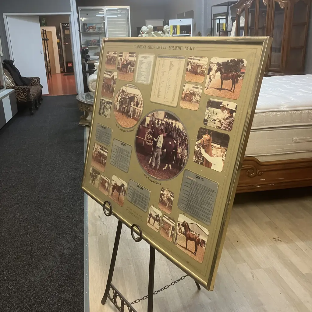 Cambridge Stud Memorabilia "Record Breaking Draft National Yearling Sales Trentham January 1983" Framed. 83 x 102cm Image 1++