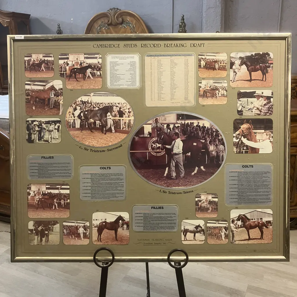 Cambridge Stud Memorabilia "Record Breaking Draft National Yearling Sales Trentham January 1983" Framed. 83 x 102cm Image 1++