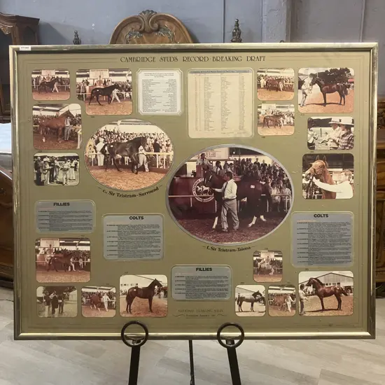 Cambridge Stud Memorabilia "Record Breaking Draft National Yearling Sales Trentham January 1983" Framed. 83 x 102cm
