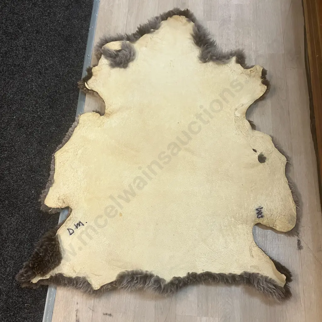 Sheepskin Floor Rug. 120 x 98cm Image 1++