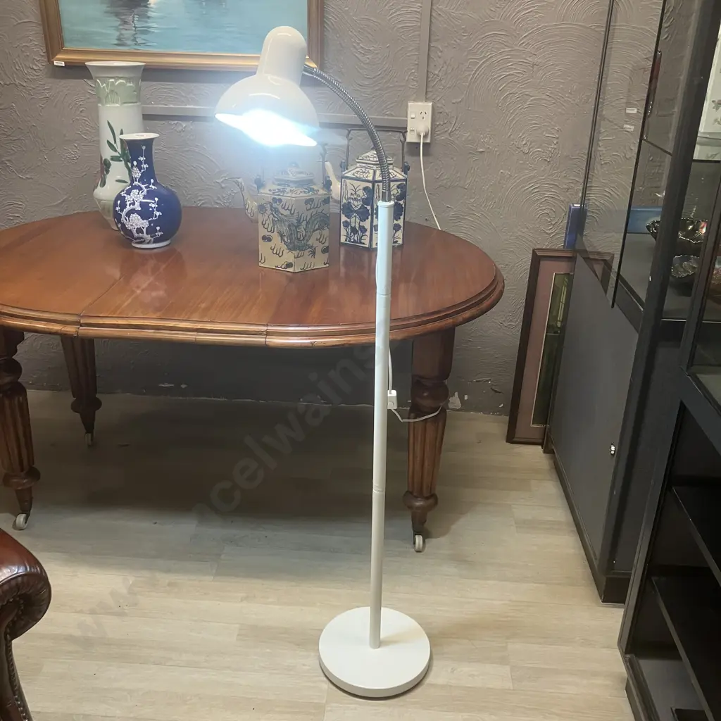 Austrabeam White Floor Lamp. H131cm Image 1++