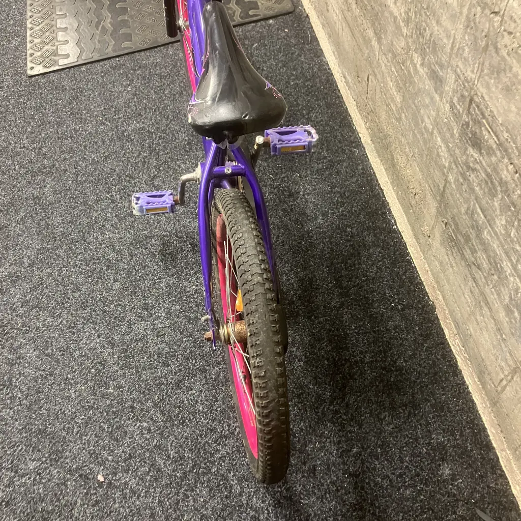 Southern Star Purple & Pink Kids Bike Image 1++