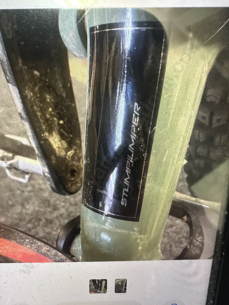 Specialized Stumpjumper in Sage Green Size S5 Image 1++