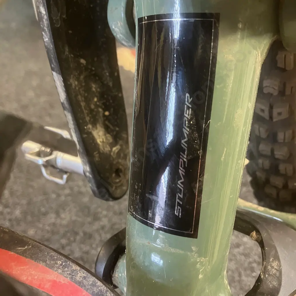 Specialized Stumpjumper in Sage Green Size S5 Image 1++