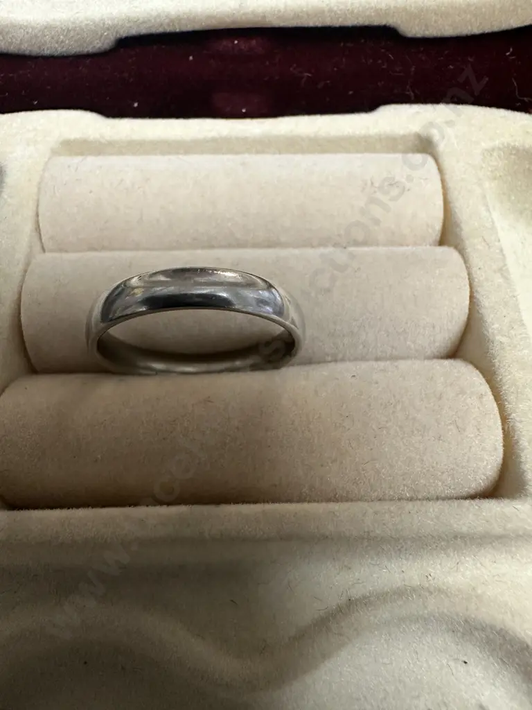 Silver? Ring Band Image 1++