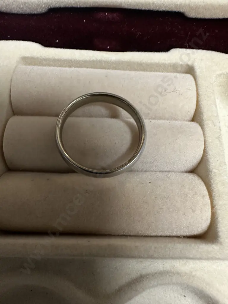 Silver? Ring Band Image 1++