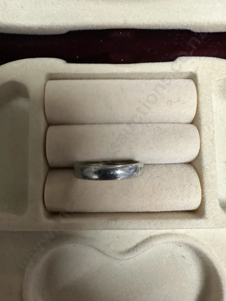Silver? Ring Band Image 1++