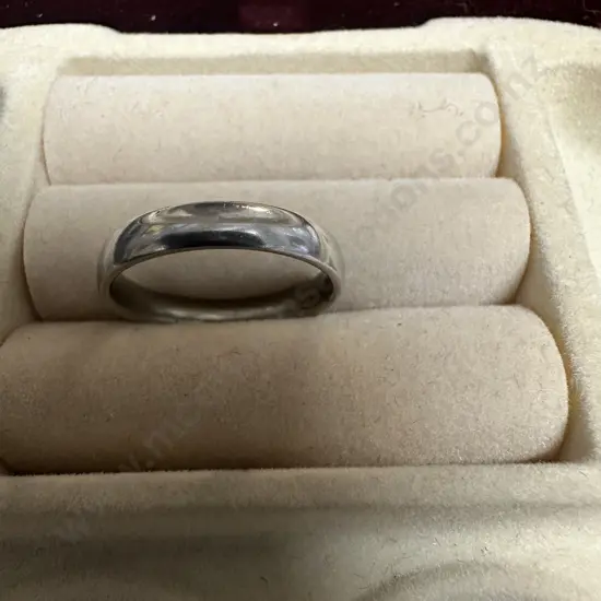 Silver? Ring Band