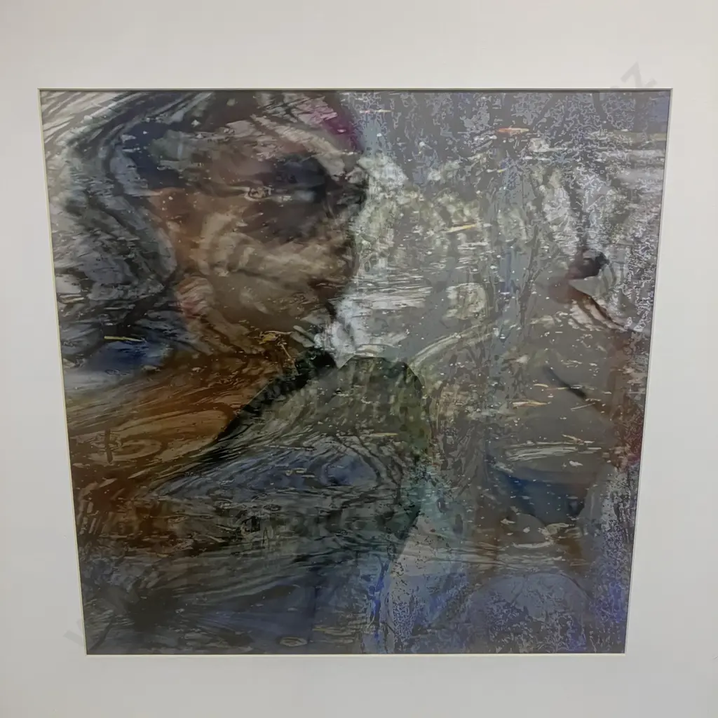 Diane Costello Photography Framed Art. 50 x 50cm Image 1++