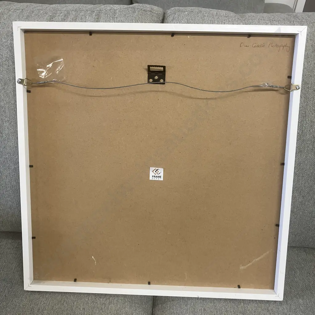 Diane Costello Photography Framed Art. 50 x 50cm Image 1++