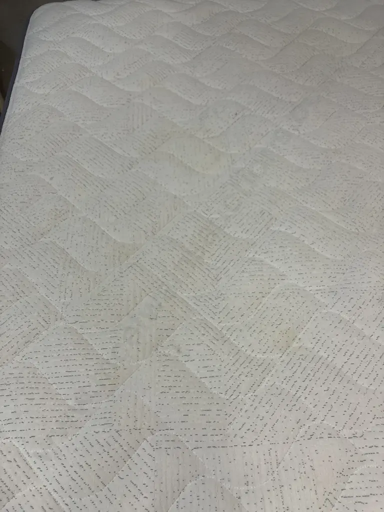 Sleepyhead Chiropractic Firm Queensize Mattress On Pink Base Image 1++