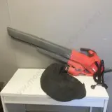 Morrison Electric 2400W Blower / Vac With Manual Lawn Edger Image 1++