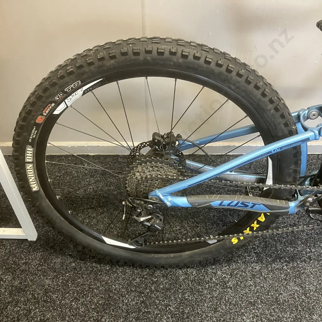 Blue GV LUST Mountain Bike Image 1++