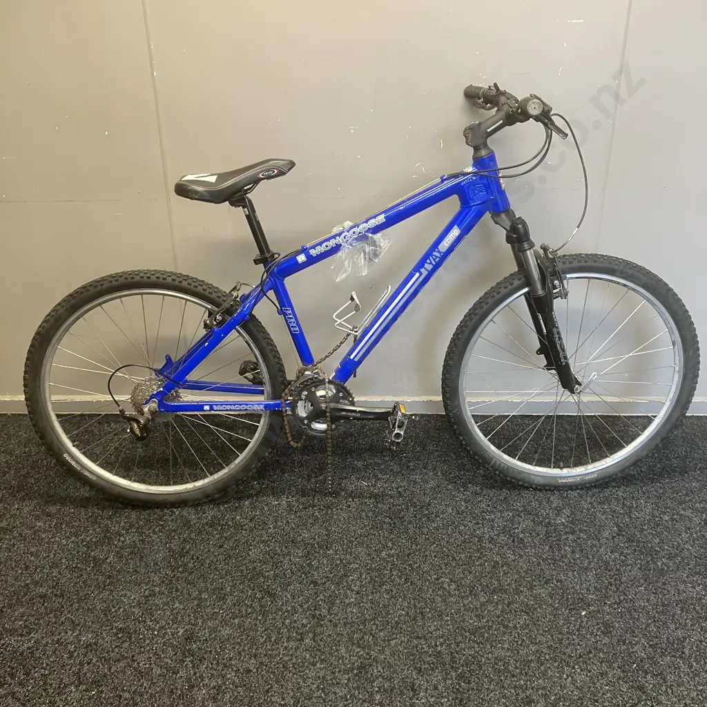 Blue Mongoose Bicycle (As Found) Image 1++