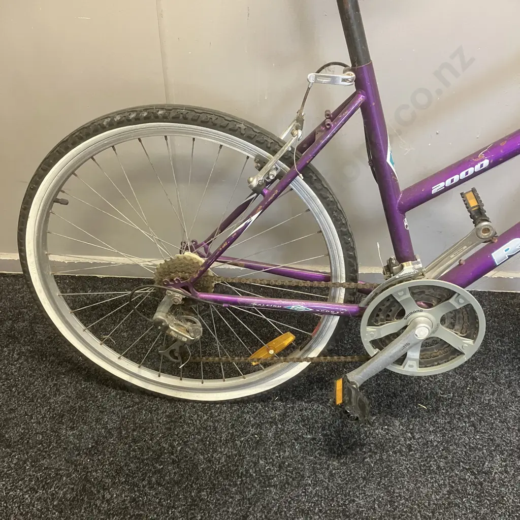 Purple Raleigh Bike Image 1++