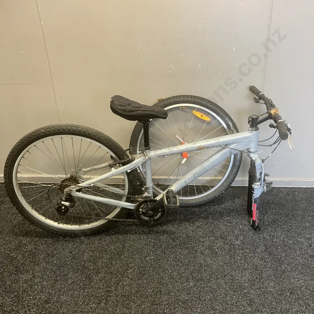 Adult Bike Spray Painted Light Grey (As Found) Image 1++
