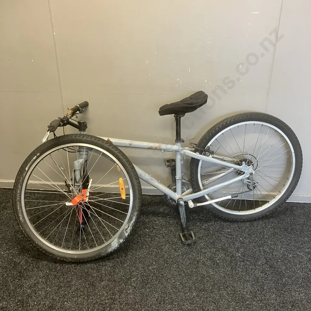 Adult Bike Spray Painted Light Grey (As Found) Image 1++