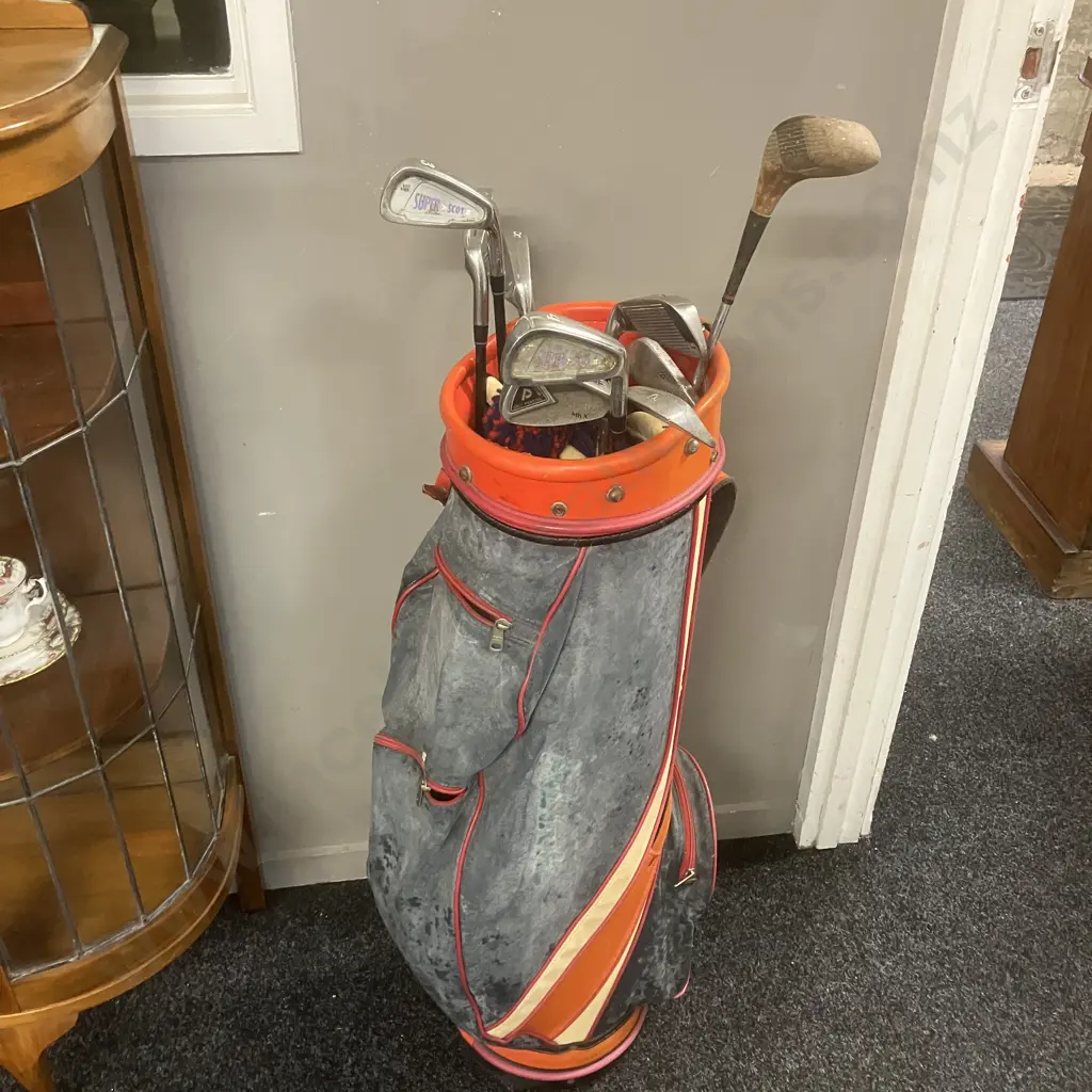 Vintage Golf Clubs & Golf Bag Image 1++