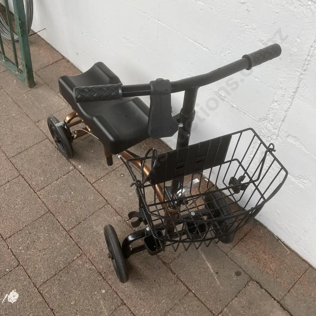 Freiheit Knee Walker With Crutch Holders Image 1++