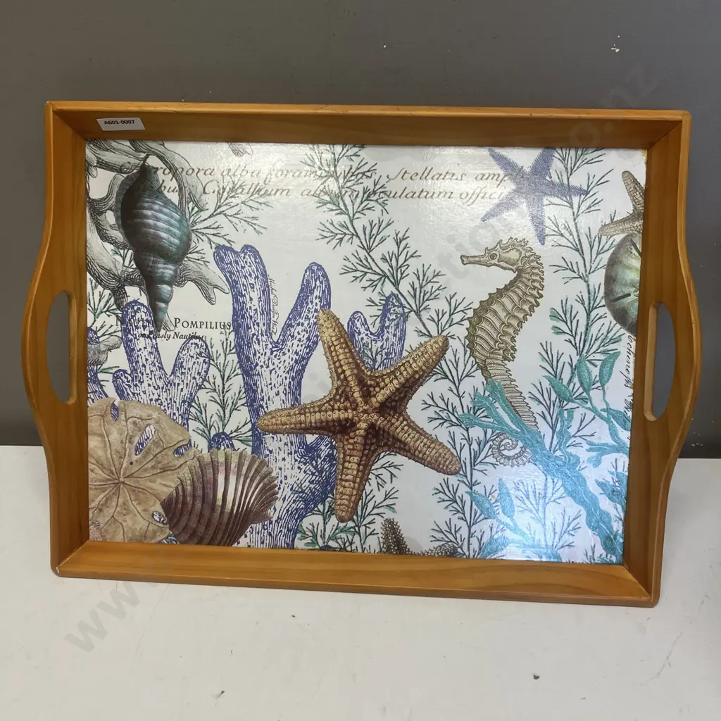 Salter Red Mechanical Kitchen Scale & Tablefair Seascape Padded Serving Tray Image 1++