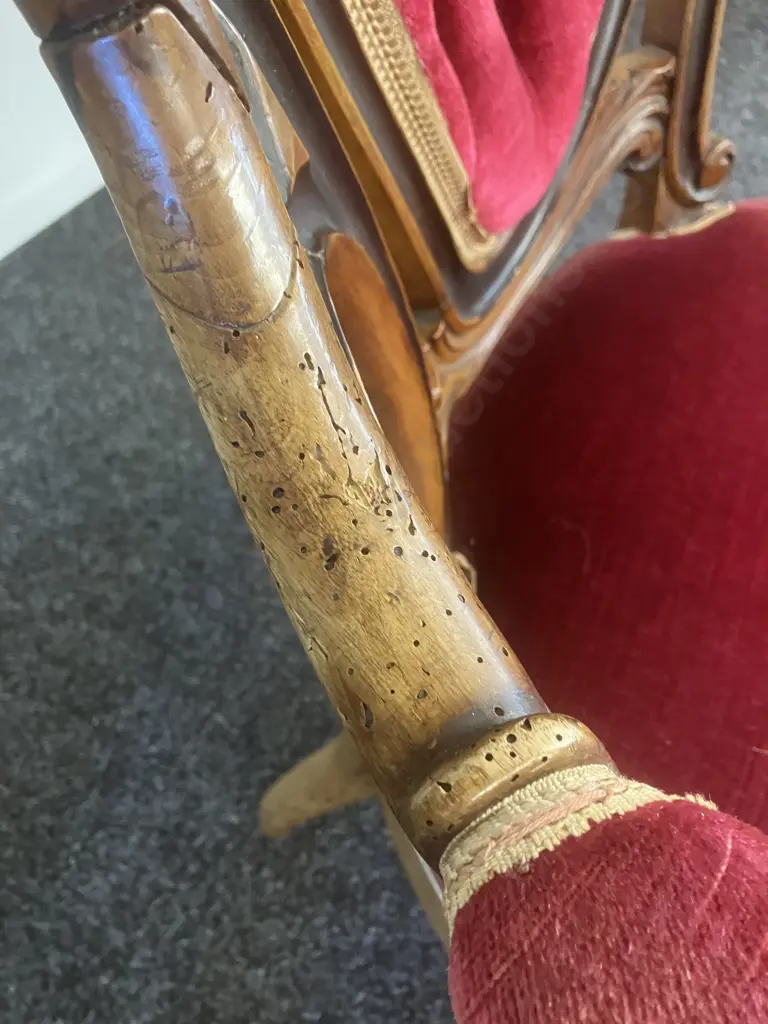 Antique Victorian Heavily Carved Walnut Gentleman's Chair, Red Velvet Upholstered. 120 x 72cm Image 1++