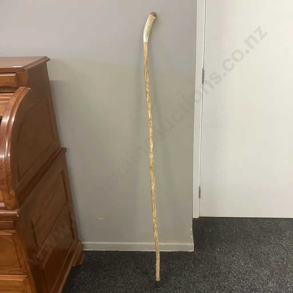 Walking Stick With Slightly Curved Antler & Wood Handle. 139cm Image 1++