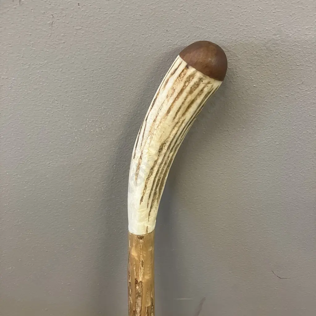 Walking Stick With Slightly Curved Antler & Wood Handle. 139cm Image 1++