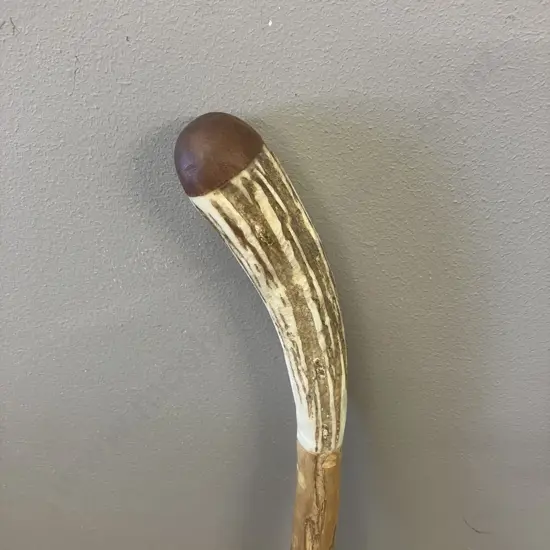 Walking Stick With Slightly Curved Antler & Wood Handle. 139cm