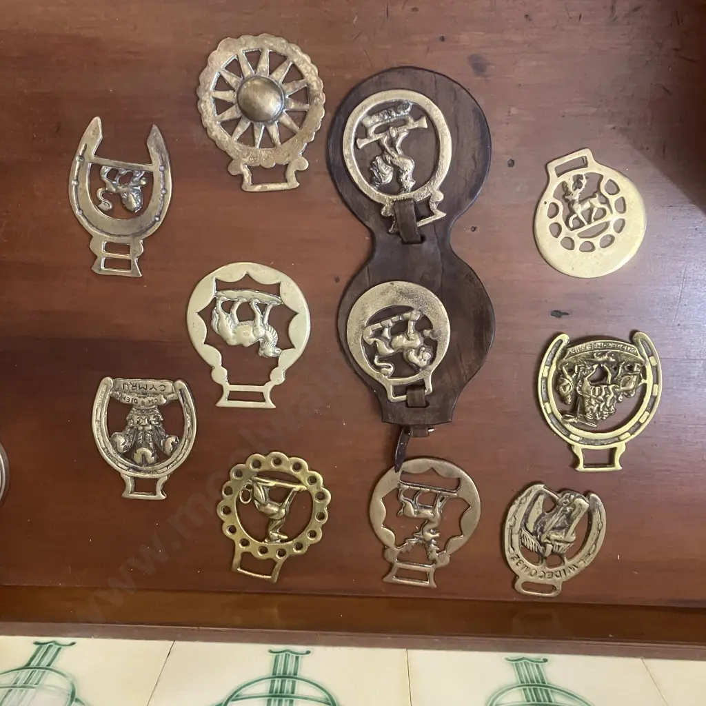 Horse Brasses & Brasses On Leather Image 1++