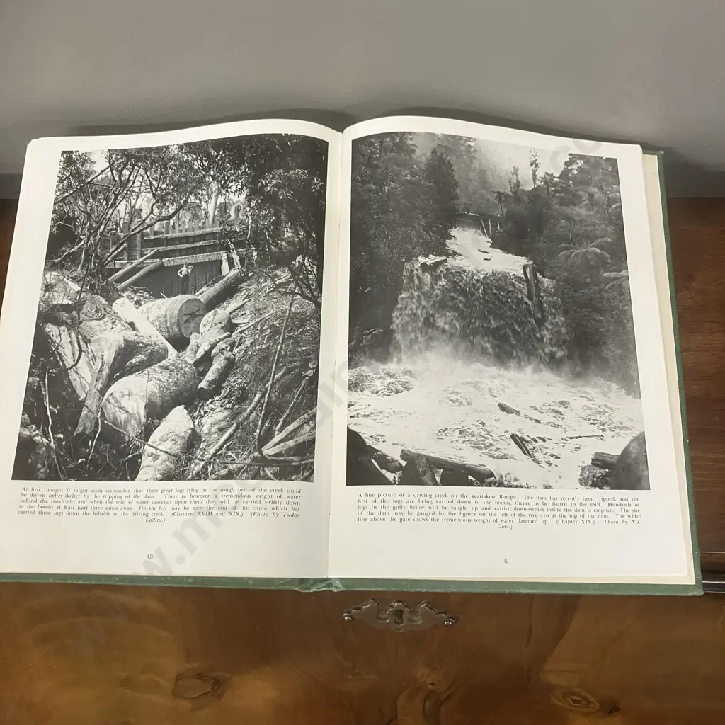 The Story of the Kauri by A H Reed, 1953 First Edition - Limited, Numbered & Signed (#1552/2550) Image 1++