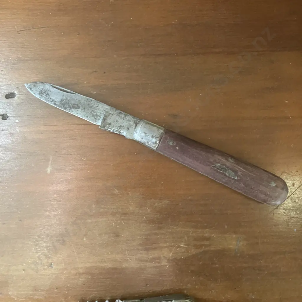 Vintage 'Richardz' Solingen Germany Pocket Knife With Whale Mark On Tang With Another German Made Pocket Knife Image 1++