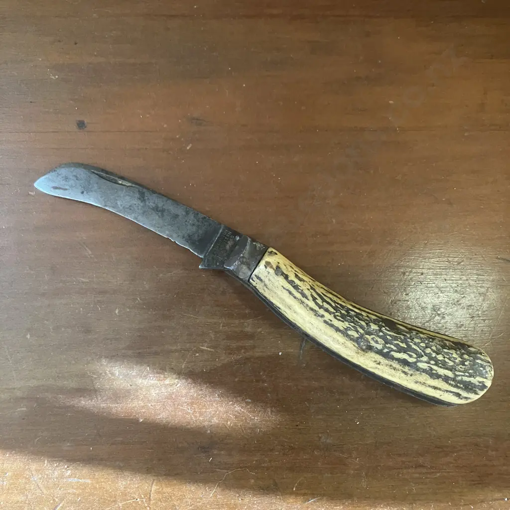 English Antique Johnson Western Works Sheffield Stag Horn Utility Knife Image 1++