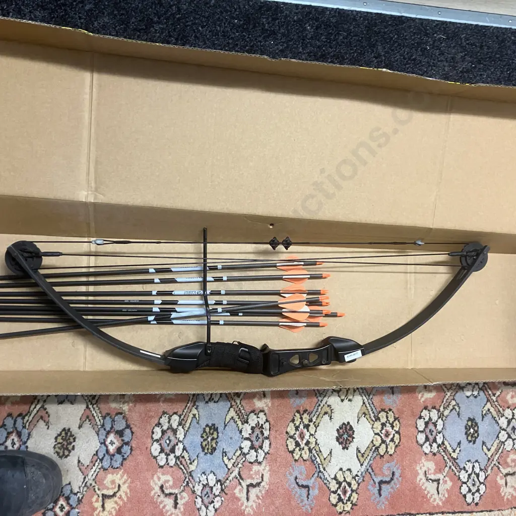 Champion Brand Bow & Arrow And Carbon Blackout Brand 8 Arrows Image 1++