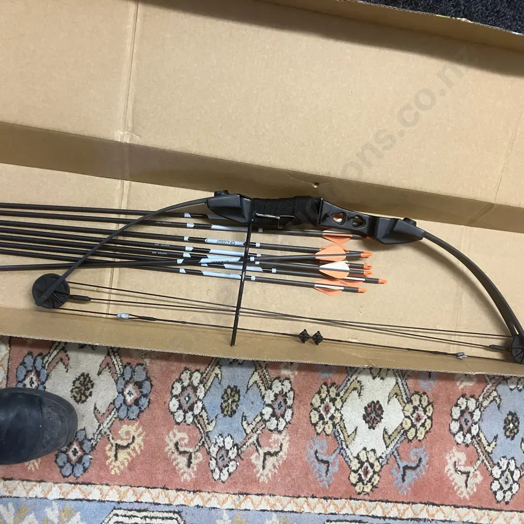 Champion Brand Bow & Arrow And Carbon Blackout Brand 8 Arrows Image 1++