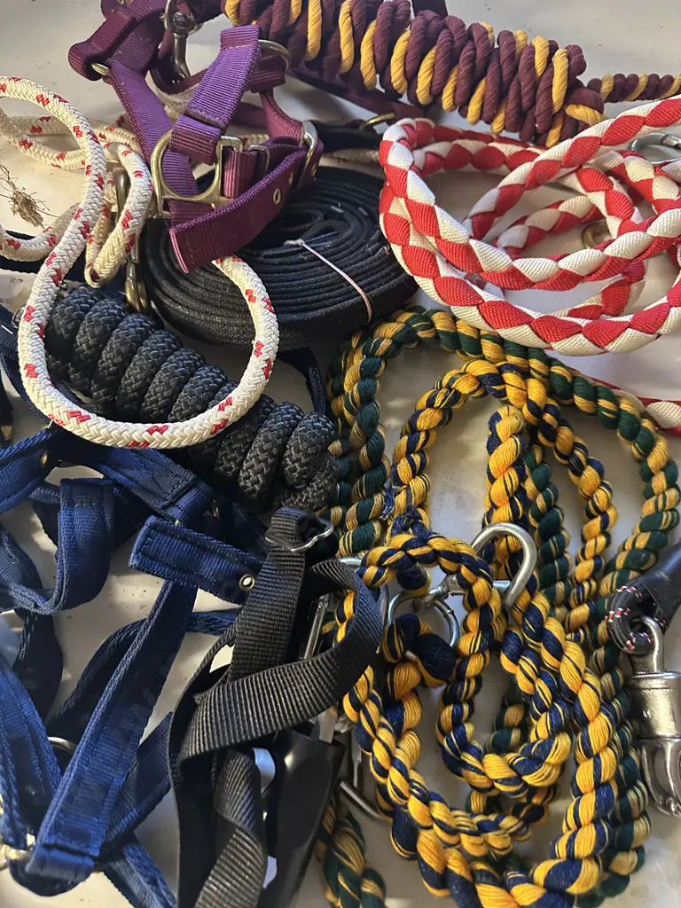 Selection Of Horse Bridles, Leads Etc Image 1++