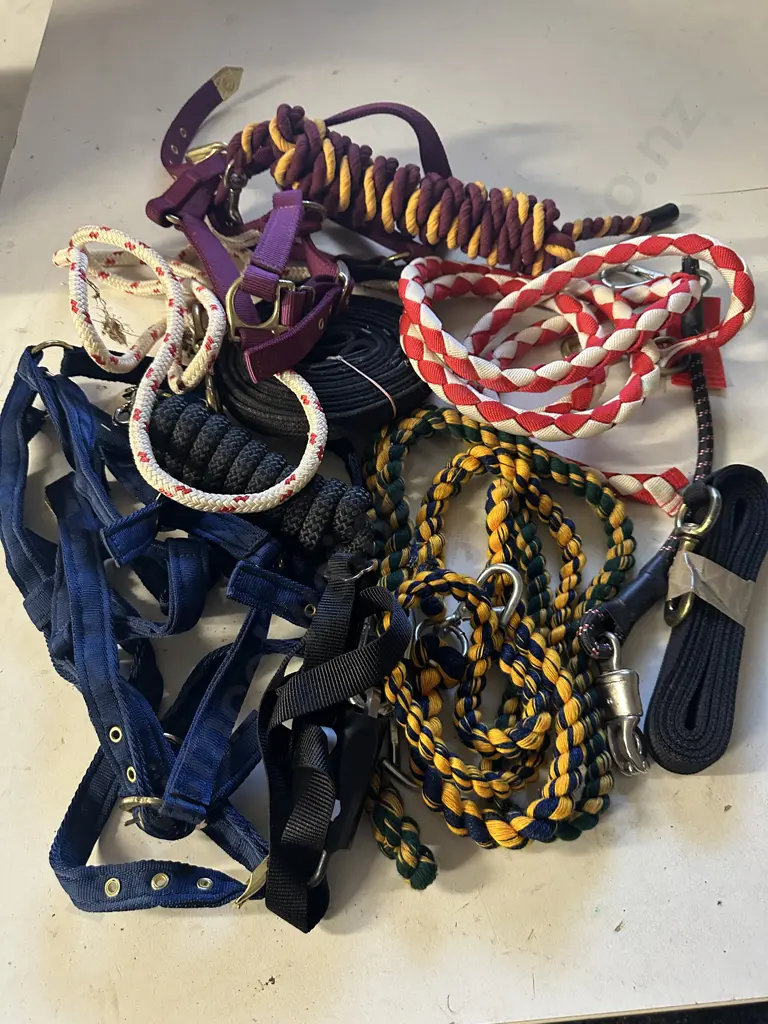 Selection Of Horse Bridles, Leads Etc Image 1++