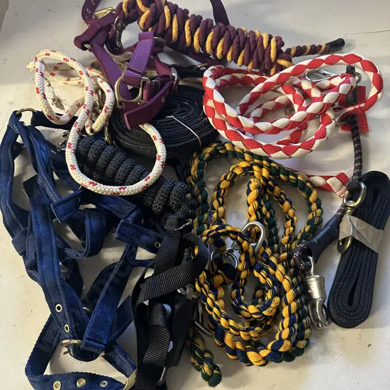 Selection Of Horse Bridles, Leads Etc