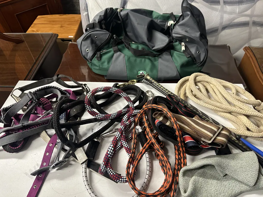 Assorted Bridals, Leads, Whips Etc With Green Carry On Bag Image 1++