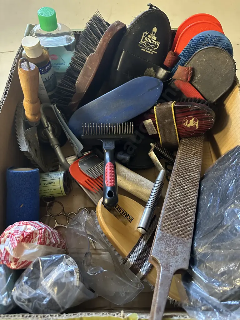 Selection Of Horse Sundries Including Brushes, Combs, Files Etc Image 1++