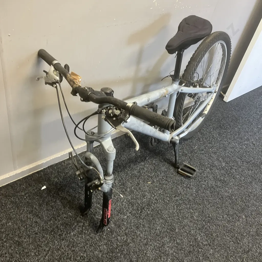 Adult Bike Spray Painted Light Grey (As Found) Image 1++